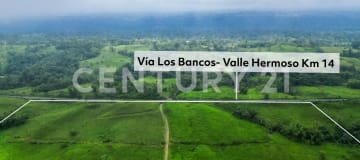 Finca 138ha en San Miguel de Los Bancos: Ganadera y con Potencial