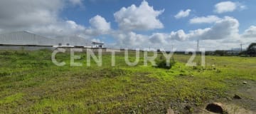 Macrolote industrial 33,365m² en Petrillo listo para desarrollo