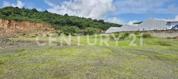 Macrolote industrial 33,365m² en Petrillo listo para desarrollo