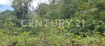12.89 ha en Mira - Terreno para eco-turismo y glamping