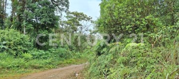 12.89 ha en Mira - Terreno para eco-turismo y glamping