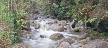 12.89 ha en Mira - Terreno para eco-turismo y glamping