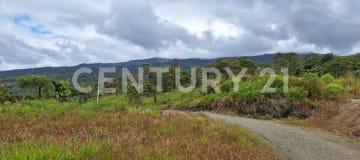 12.89 ha en Mira - Terreno para eco-turismo y glamping