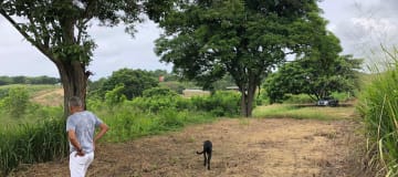 Venta de Lotes Urbanizados – Sector Club El Pacífico, Tonsupa AH