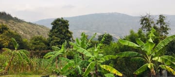 Venta Quinta Guayllabamba para descanso y agricultura