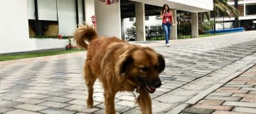 VENTA DE CASA POR ESTRENAR - 3 DORMITORIOS - TUMBACO