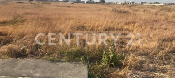 PIADY: Centro empresarial premium en Guayaquil - $500K