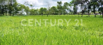 Terreno industrial 127 ha en Santo Domingo, uso logístico