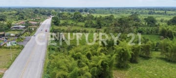 Terreno industrial 127 ha en Santo Domingo, uso logístico