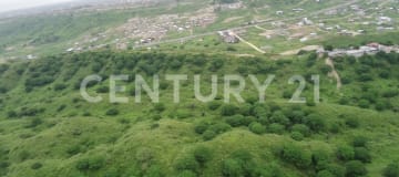Macrolote de 50,597m² en Montemar con 114 lotes listos para urbanizar