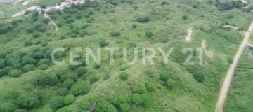 Macrolote de 50,597m² en Montemar con 114 lotes listos para urbanizar