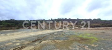 Macrolotes industriales en Petrillo desde 5Ha con permisos vigentes