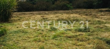 Terreno ideal para proyecto inmobiliario cerca de Av. Simón Bolívar