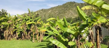 Country house for sale in Guayllabamba, with 2-story house, BBQ and fruit trees