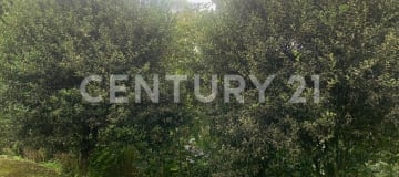 Terreno de 32,000 m² en Ligüiqui para proyectos agrícolas o turísticos