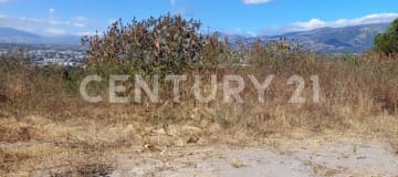 Macrolote esquinero en Tumbaco - 2.926m² - COS 20%