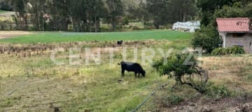Finca productiva de 7.4 ha con galpones y agua propia