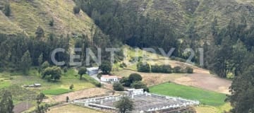 Finca productiva de 7.4 ha con galpones y agua propia