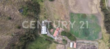 Finca productiva de 7.4 ha con galpones y agua propia