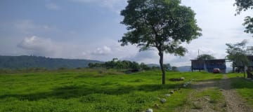 Terreno agrícola de 53 ha en Chongón - Ideal para cultivo o inversión
