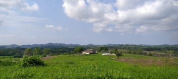 Terreno agrícola de 53 ha en Chongón - Ideal para cultivo o inversión