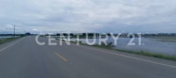 Terrenos desde 10,000m² en Samborondón al pie de vía nueva