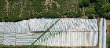 Hacienda CBD en Santa Elena: 20ha con planta procesadora y licencia