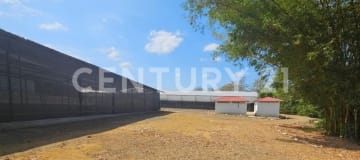 Hacienda CBD en Santa Elena: 20ha con planta procesadora y licencia