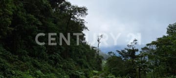 54.8 ha en Carchi - Oportunidad para eco-turismo y minería