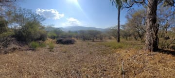 Terreno en venta La Viña