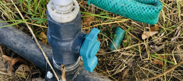 Venta terreno cerca a Guayllabamba 10.000m2 árboles de aguacate