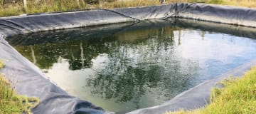 Venta terreno cerca a Guayllabamba 10.000m2 árboles de aguacate