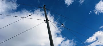 Venta terreno cerca a Guayllabamba 10.000m2 árboles de aguacate