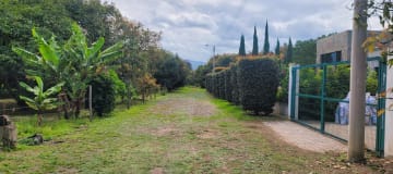 XG_VENTA TERRENO EN GUAYLLABAMBA 2.500 m² con Producción de Aguacates, esquinero.