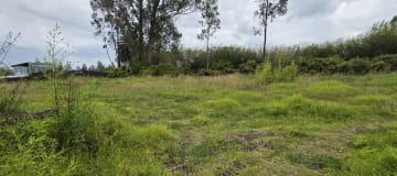 Terreno en renta de 2.500 m² – Puembo, Barrio San José – USD 500 mensuales