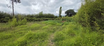 Terreno en renta de 2.500 m² – Puembo, Barrio San José – USD 500 mensuales