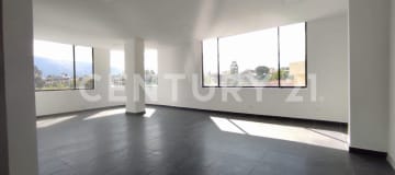 Consultorio/oficina en alquiler en Capelo, 15m², $250