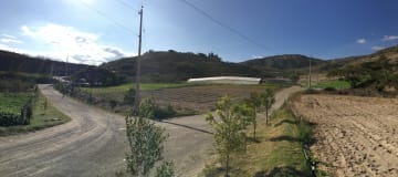 Venta de 3 y 1/2 hectáreas terreno para tomate cherry y girasol