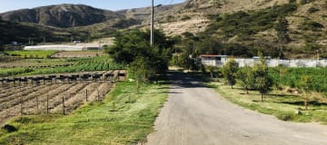 Venta de 3 y 1/2 hectáreas terreno para tomate cherry y girasol