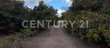 Quinta campestre en Guayllabamba con 3700m² y frutales