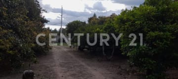 Quinta campestre en Guayllabamba con 3700m² y frutales