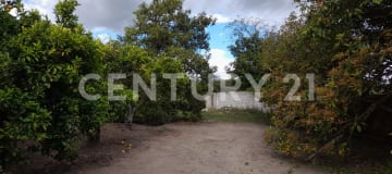 Quinta campestre en Guayllabamba con 3700m² y frutales