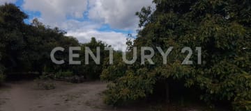 Quinta campestre en Guayllabamba con 3700m² y frutales