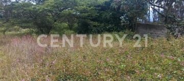 Terreno en Nayón con vista al Valle de Cumbayá - Oportunidad