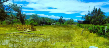 Venta terreno de 16.000 m² en Puembo zona estratégica a $62 por metro – AH