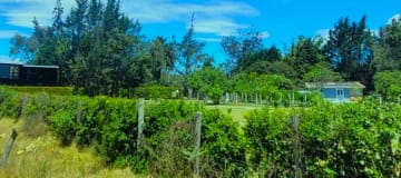 Venta terreno de 16.000 m² en Puembo zona estratégica a $62 por metro – AH