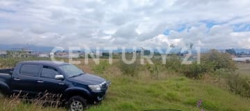 Terreno en Pifo - 10.000 m² para proyecto inmobiliario