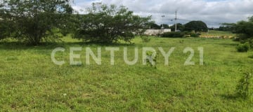 1.5 ha en Vía a la Costa - Oportunidad logística y comercial