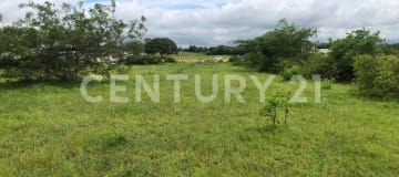 1.5 ha en Vía a la Costa - Oportunidad logística y comercial