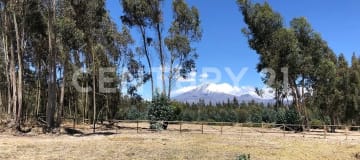 Lotes desde $19/m² en Rancho San José con vista a los Ilinizas